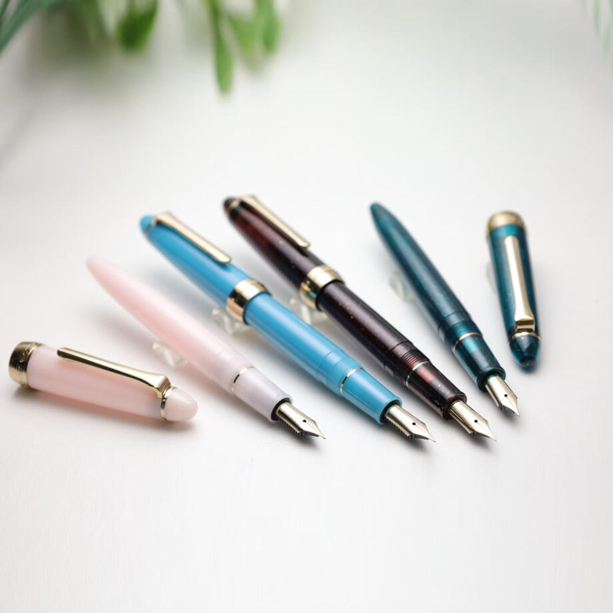 Sailor 1911 Casual Shikiori Kusa Asobi Sasabune Fountain Pen (Special Edition)