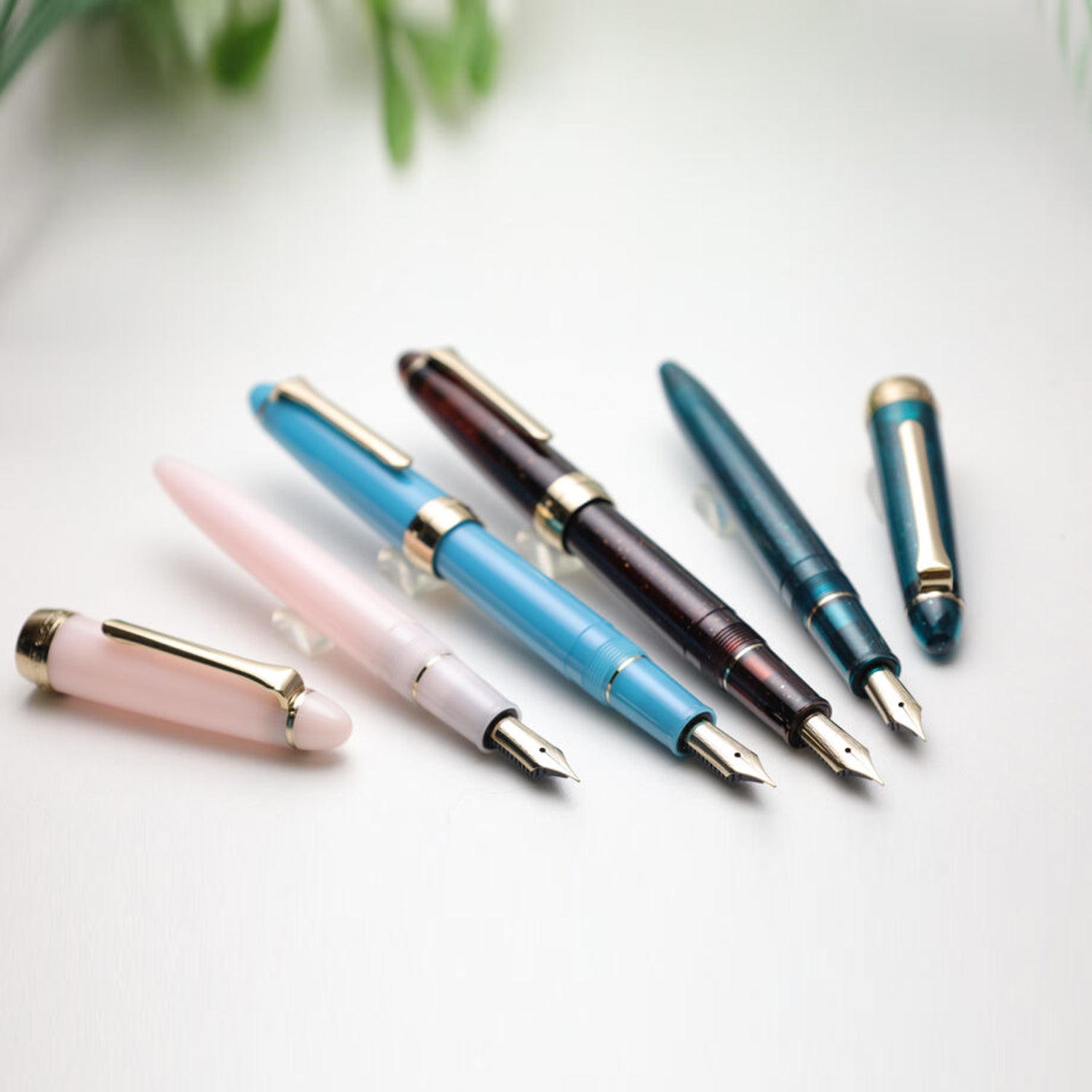 Sailor 1911 Casual Shikiori Kusa Asobi Sasabune Fountain Pen (Special Edition)