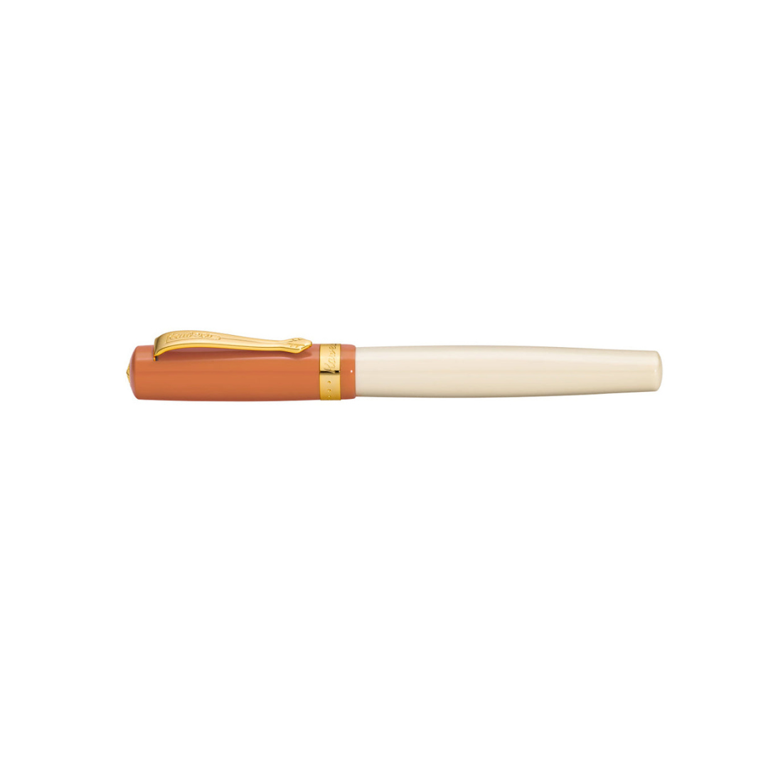 Kaweco Student Fountain Pen